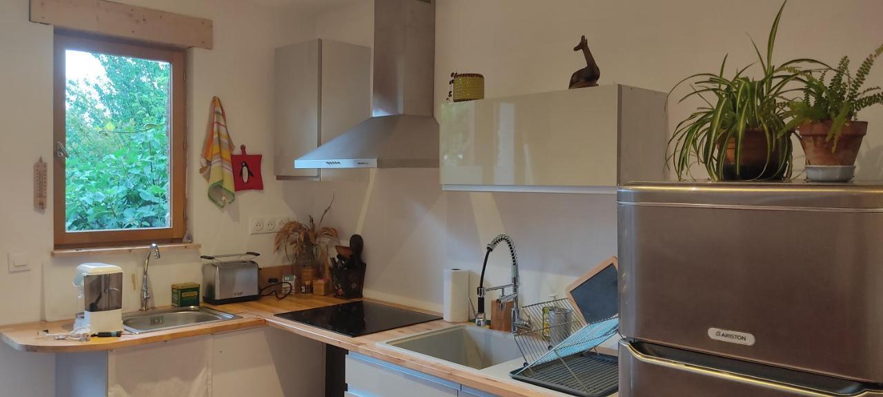 Appartement Cosy, Au Calme, Axe Annecy - Geneve Вилли-ле-Пеллу Экстерьер фото